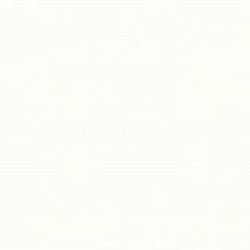 010638 ohne